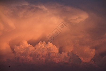 云之色彩 火烧云图片