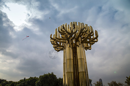 深圳福田·金钱树背景图片