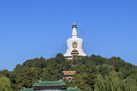 北海公园白塔柳树成荫背景