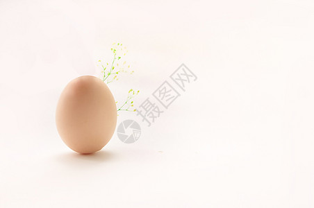 一颗鸡蛋图片
