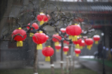 喜庆之雪中国风树上雪高清图片