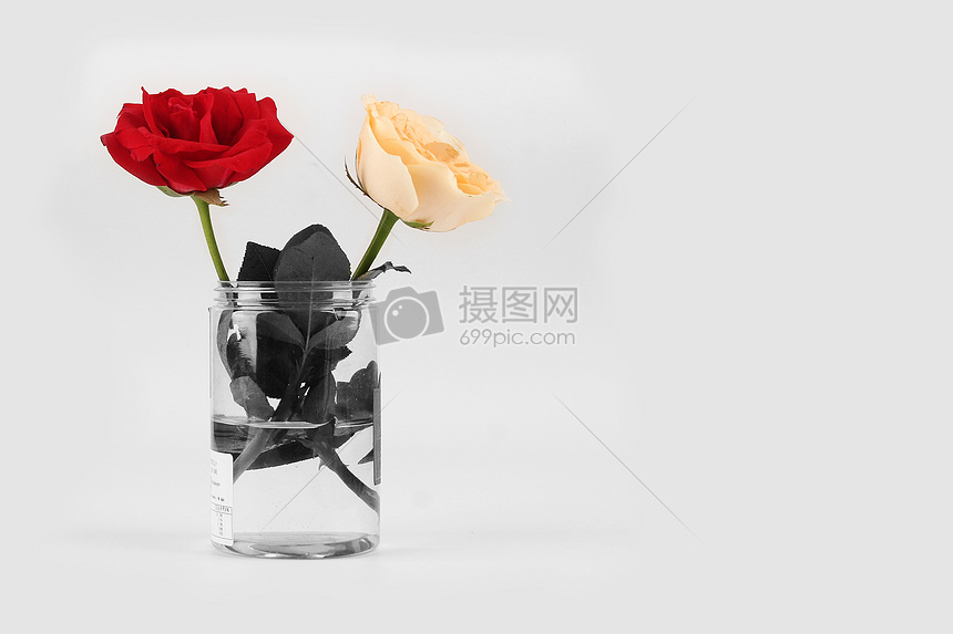 插花作品花瓶里的玫瑰高清图片下载 正版图片 摄图网