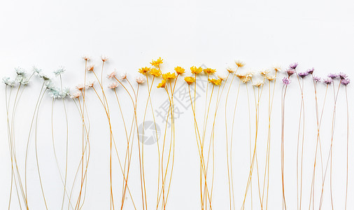 白色剪纸背景图片 白色剪纸背景素材图片大全 摄图网