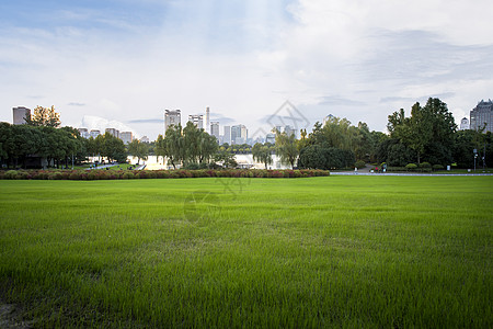 巴塞罗那足球场阳光和草坪背景