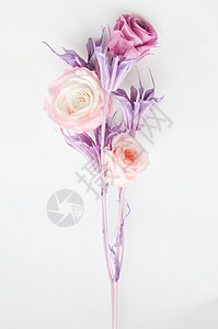 紫色系的花背景图片
