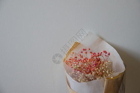 白色简洁的温馨的粉色干花朵背景图片