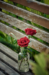 凳子上的玫瑰高清图片