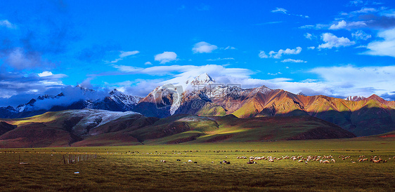 西藏羊八井图片
