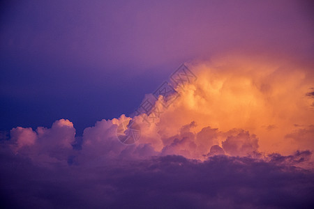 紫罗兰的云图片