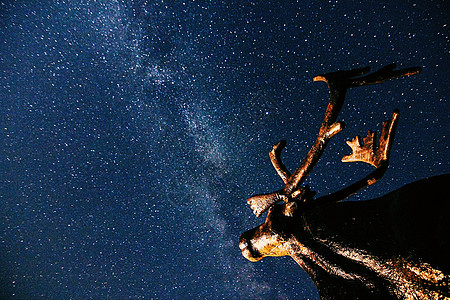 星空下的麋鹿雕像图片