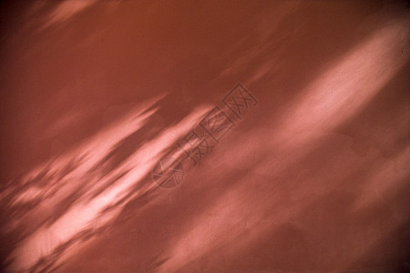 光影·红墙自然树影高清图片