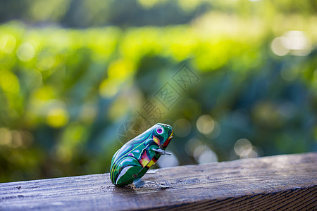小青蛙大众甲虫玩具高清图片