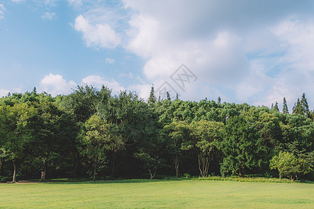 风情园林蓝天白云树木草地田原风情背景