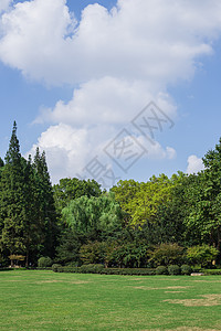 蓝天白云树林绿意风景图片