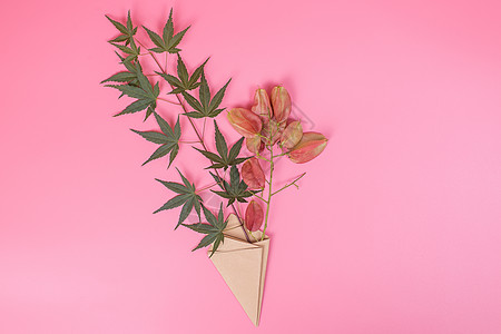 清新折纸包装枫叶红果摆拍图片