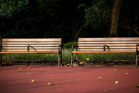 公园里的长椅背景图片