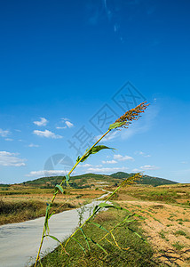 田野 乡下 乡村图片