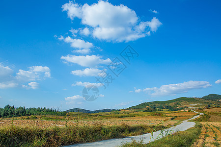 乡村小路 乡下小路 田野 秋收 小山村 田间小路 山间田野图片