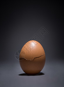 鸡蛋  鸡蛋壳创意拍摄图片