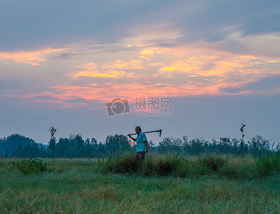 清晨日出农民在地里开荒种植劳作图片