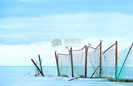 潮汐涌动的青海湖与落脚的飞鸟图片