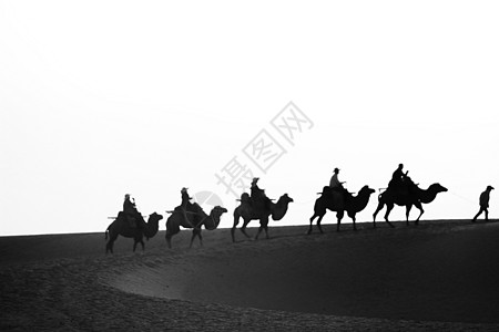 鸣沙山骆驼队剪影图片