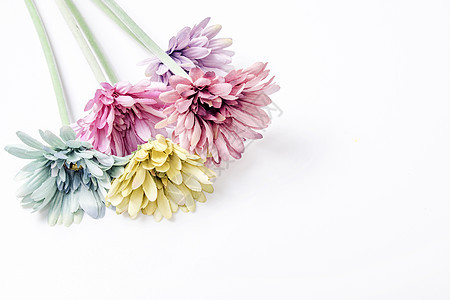 全白素材 全白素材图片大全 全白素材背景图片