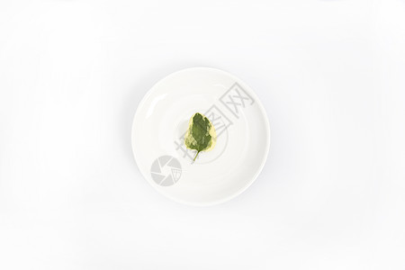 木板里的植物白色盘子里一片绿色叶子背景