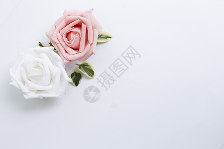白色背景下的花高清图片下载 正版图片 摄图网 白色背景下的花高清图片下载 正版图片 摄图网