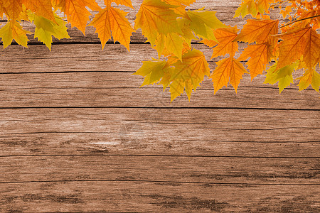 复古秋叶木底板设计素材背景图片