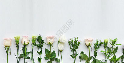 母亲节康乃馨鲜花花束背景图片