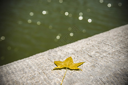 枫湖水特写高清图片