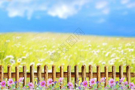 卡通花园背景图片 卡通花园背景素材图片大全 摄图网 卡通花园背景图片 卡通花园背景素材图片大全 摄图网