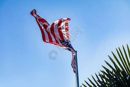蓝天下飘扬的美国国旗图片
