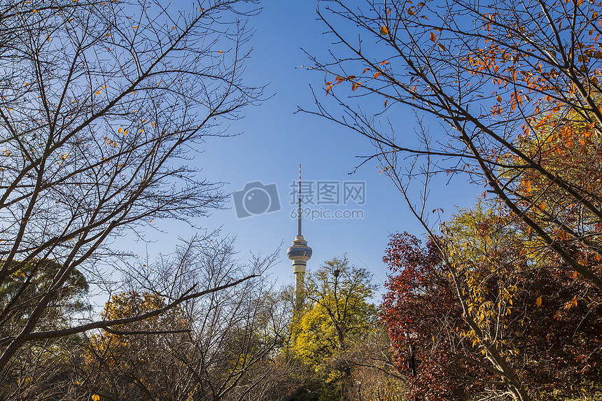 秋景.中央电视塔图片