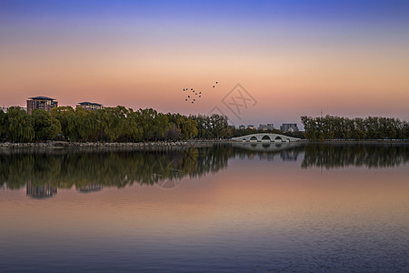 秋景.静图片