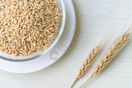 四川特产五谷杂粮小麦种子设计图片