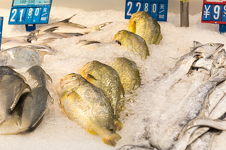 碟鱼头超市商场里的海鲜水产背景