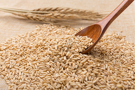 谷物素材温暖谷物燕麦米棉麻底拍摄背景