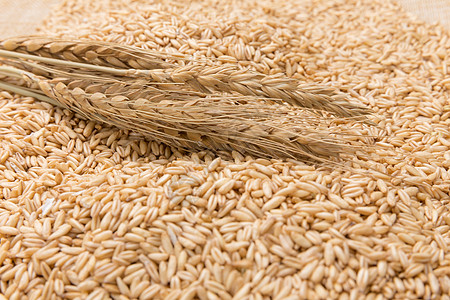 创意食品芒种时节麦子成熟背景