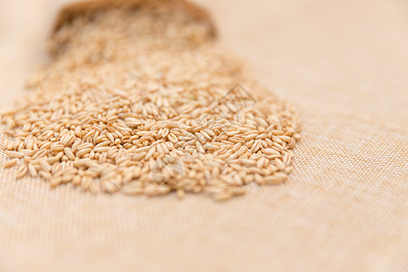 温暖谷物燕麦米棉麻底拍摄背景图片