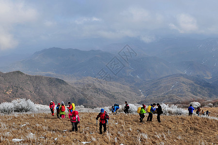 冻山背景图片