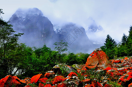 川西秋景川西风光背景