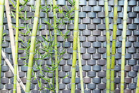 室内竹林景观建筑图片