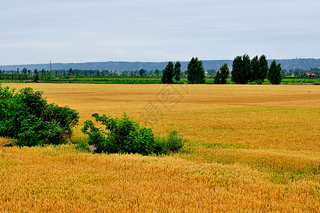 西安环山路风光图片