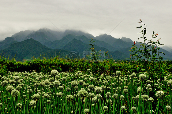 西安环山路风光图片