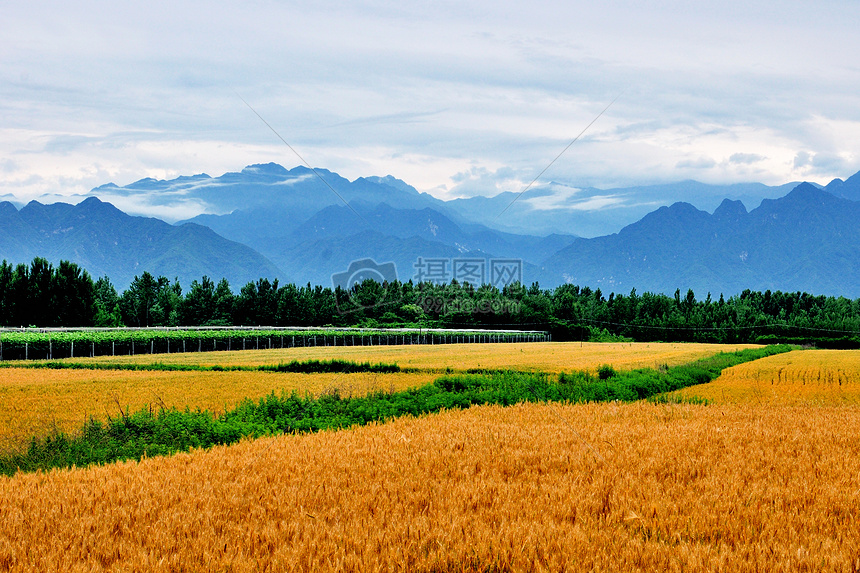 西安环山路风光图片