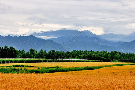 西安环山路风光背景图片