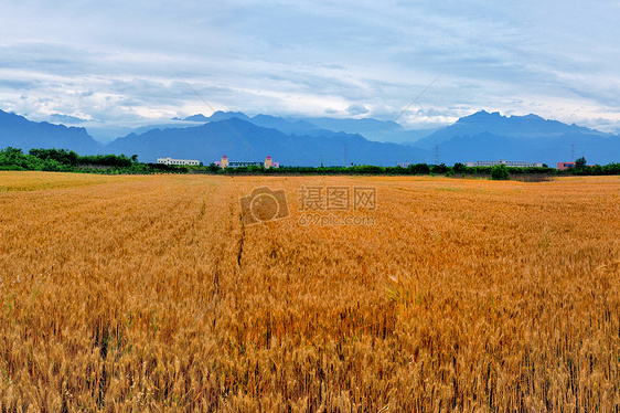 西安环山路风光图片