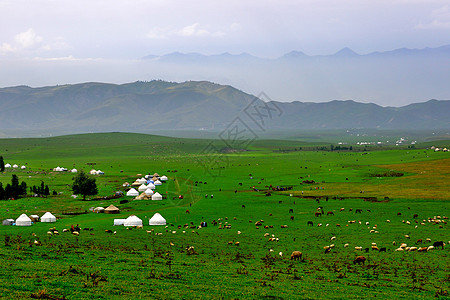 赛里木湖全景新疆北疆自然风光背景